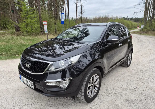 samochody osobowe Kia Sportage cena 49900 przebieg: 180000, rok produkcji 2015 z Białobrzegi